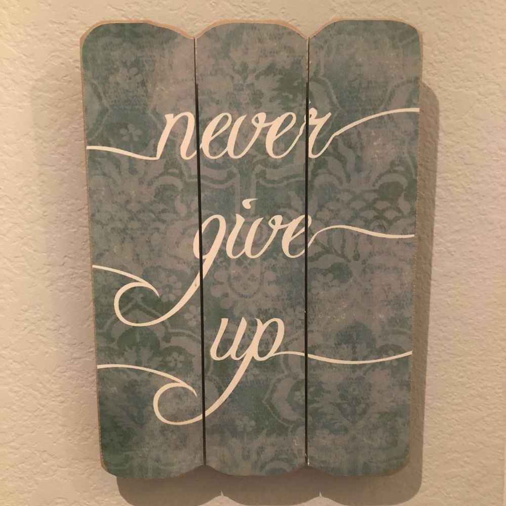 Pier 1 Wall Art - Never Give Up